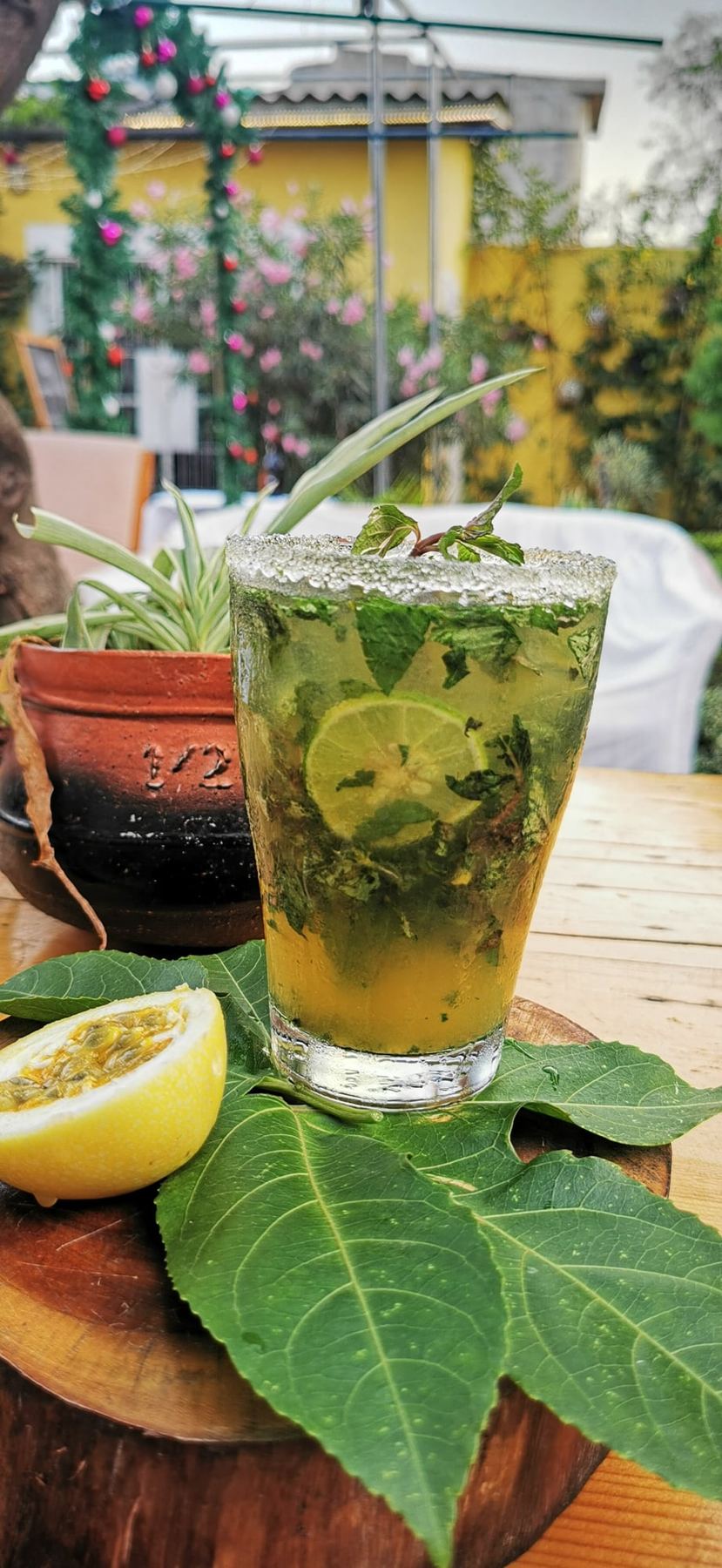 Le Jardin de Canelya, jardin-restaurant à Cotonou – photo 8